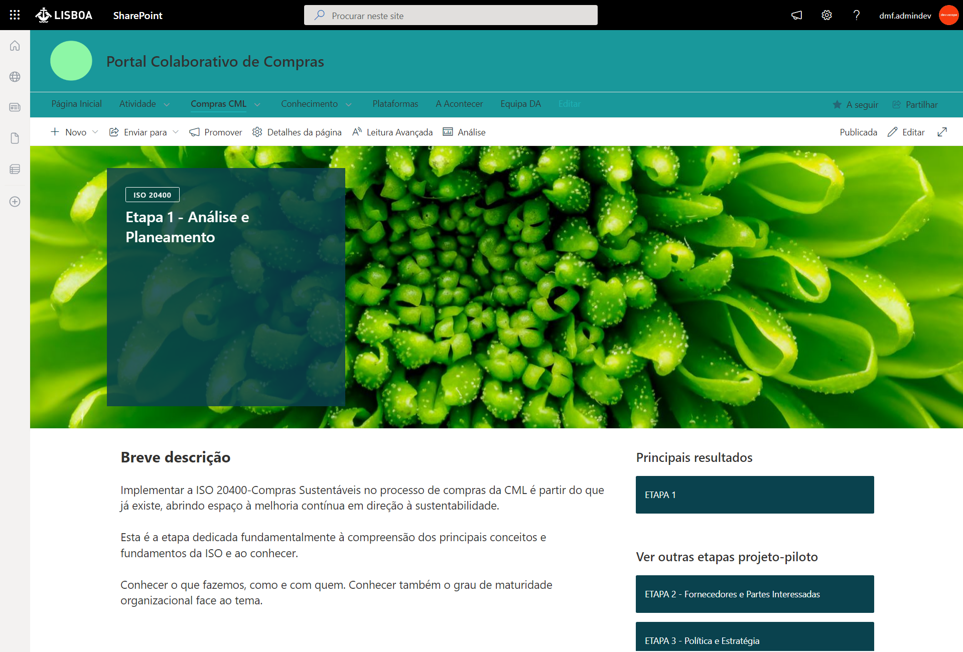 Lisbon City Council Collective Public Procurement Intranet 7