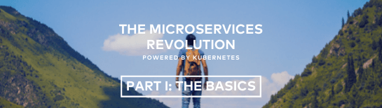 The microservices revolution, powered by Kubernetes – Part I: The Basics